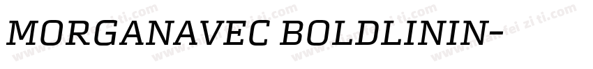 MorganAvec BoldLinin字体转换